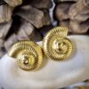 Gold Shell Studs - Antitarnish