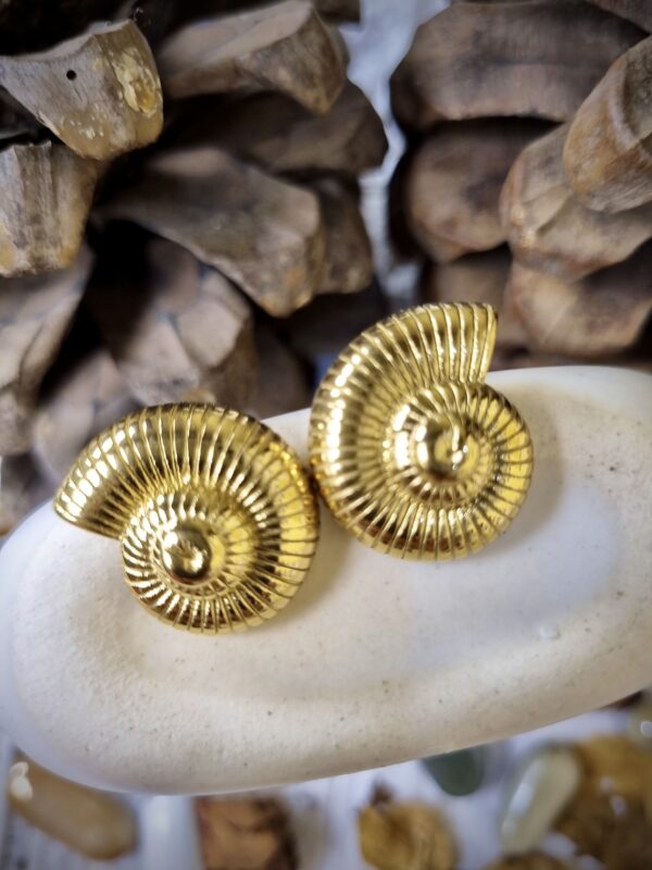 Gold Shell Studs - Antitarnish Gold Shell Studs - Antitarnish