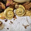 Gold Shell Studs - Antitarnish