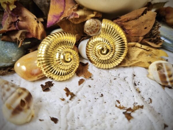 Gold Shell Studs - Antitarnish Gold Shell Studs - Antitarnish