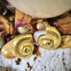 Gold Shell Studs - Antitarnish