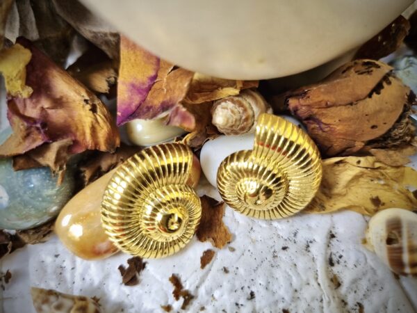 Gold Shell Studs - Antitarnish Gold Shell Studs - Antitarnish