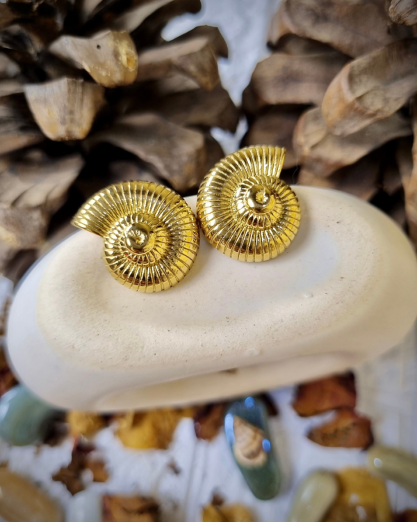 Gold Shell Studs - Antitarnish Gold Shell Studs - Antitarnish